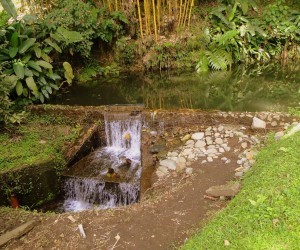 Alejandro Von Humbold Botanical Garden Source  2bp blogspot com