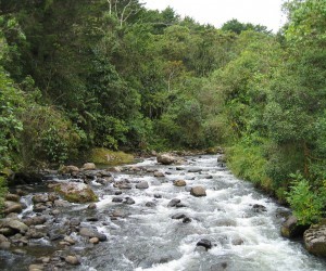 Río Otún. Fuente: Flickr.com Por guepardo lento